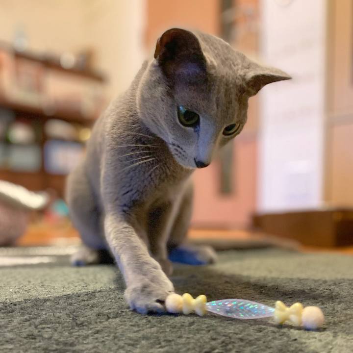 Ba7b0679 f21b 4ef5 bc92 02369eb32329 1656543842055