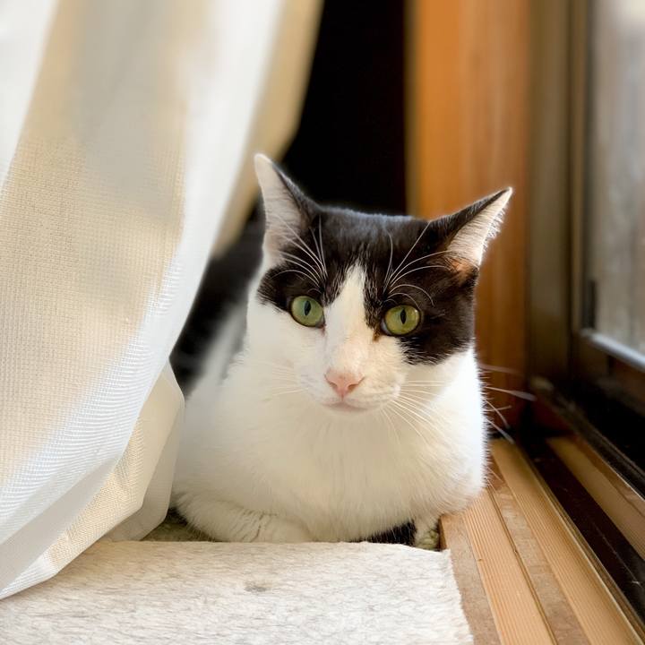 Ba7b15ec 9ffc 4ba6 8573 9f4e02be50c8 1539223270077