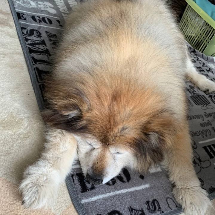 Ba7b289e 718a 4795 ab80 4626445e455d 1599067628506