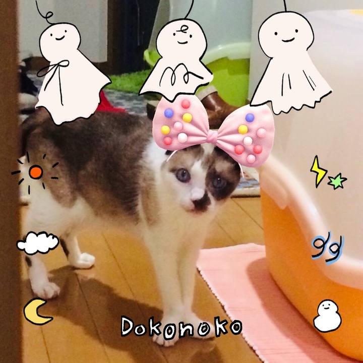 Ba7b4995 53cd 4f74 b639 925d22629e39 1749514475572