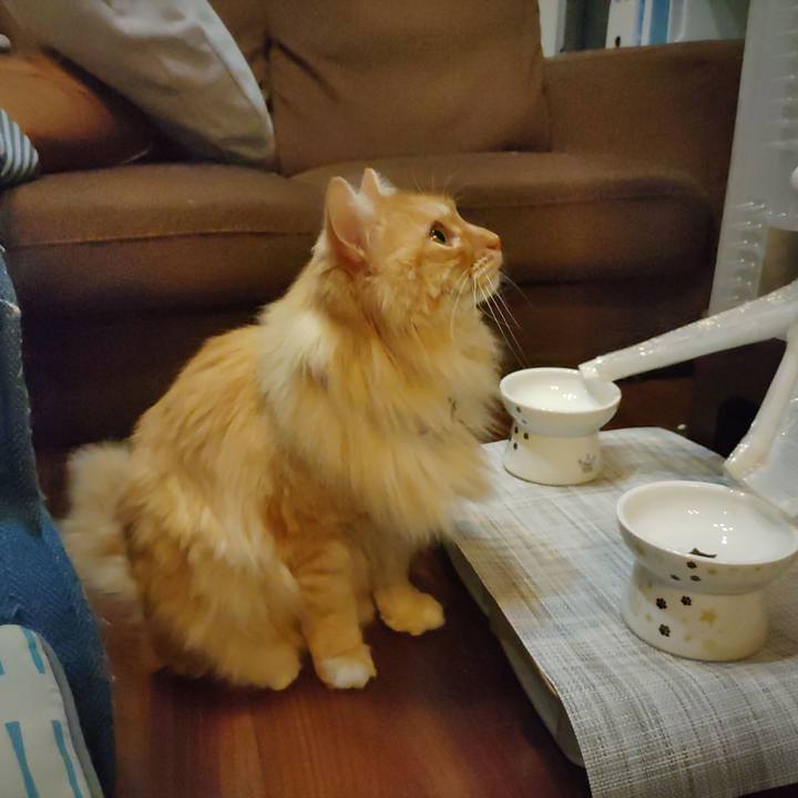 Ba7b5799 bf00 4b53 ae0b 8778402184f8 1680434922349