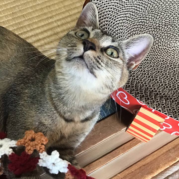 Ba7b5e98 5efe 4b5f b5ab 2c91854a4f2c 1574667995079