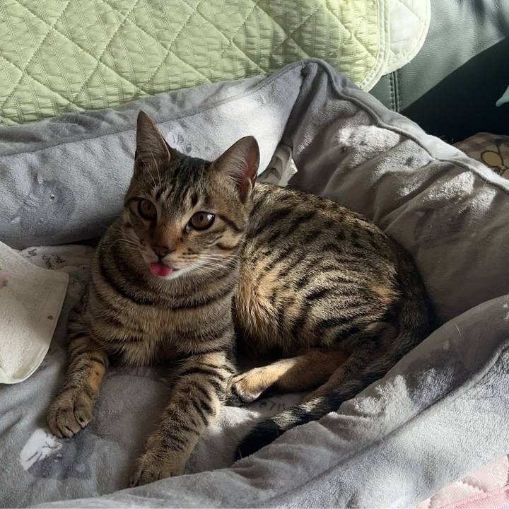 Ba7b9080 eed0 4054 98b3 00923bf76de3 1769684461015