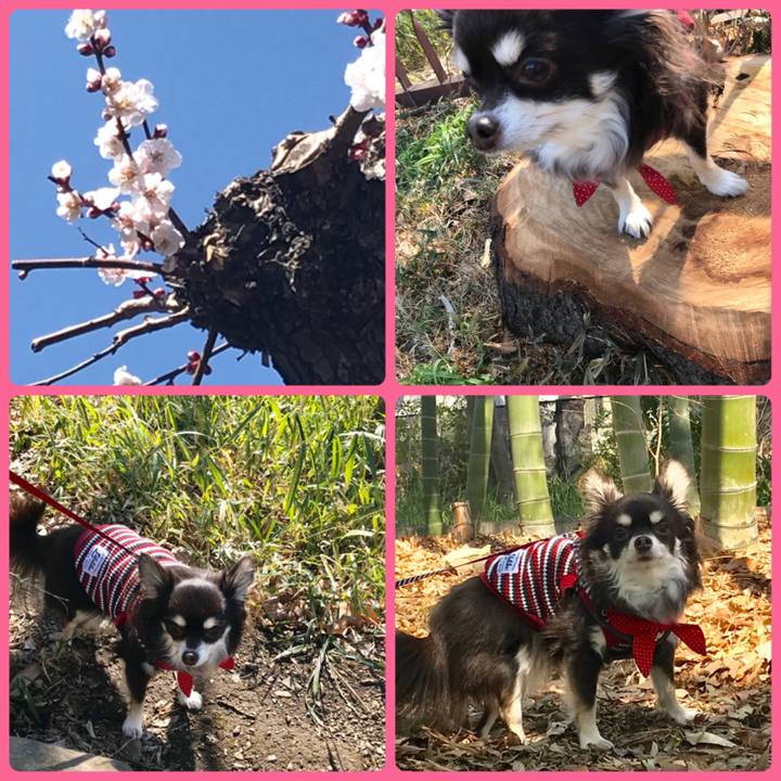 Ba7c0846 07de 47d0 9612 671211192b1c 1552140176743