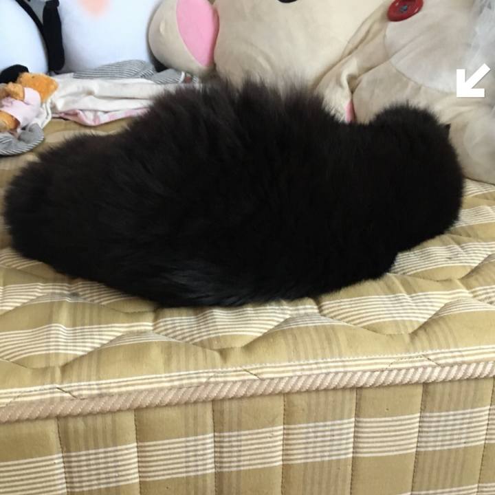 Ba7c0bb7 b311 40b8 9a33 335c5bb2d419 1557971917842