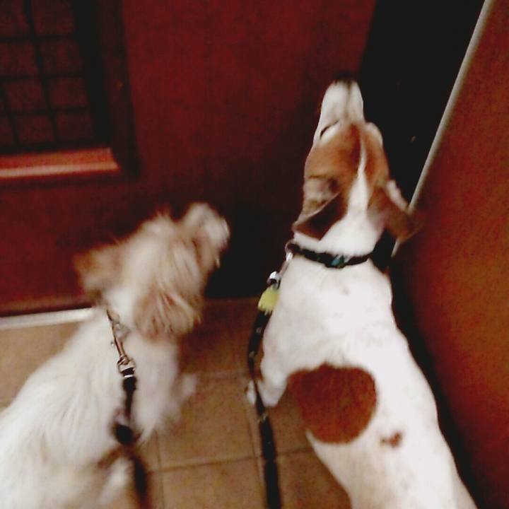 Ba7c3039 7045 40e4 9c93 79a204b84bca 1521289817016