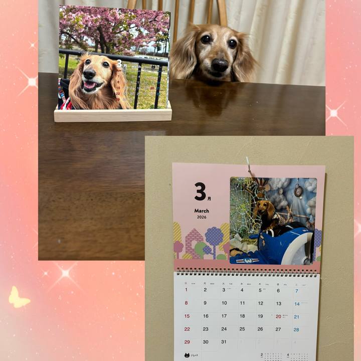 Ba7c506b ae5d 4508 97c4 109924ae6fb2 1772867629925