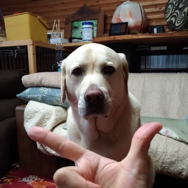 Ba7c51dc 34ba 4396 a291 a6bb0f87f9e5 1634873881768