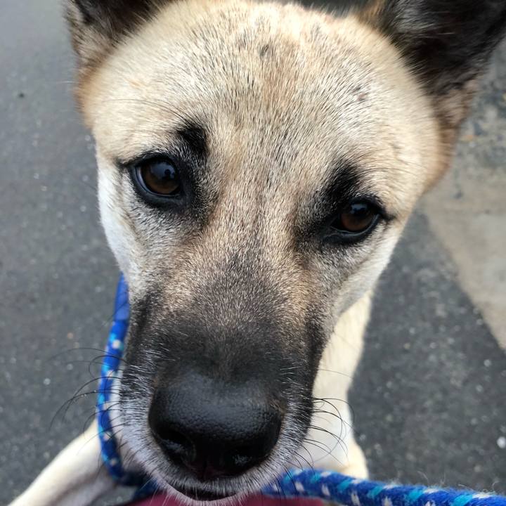 Ba7c79e7 5133 413d bc03 d1905cbbd782 1541766379660