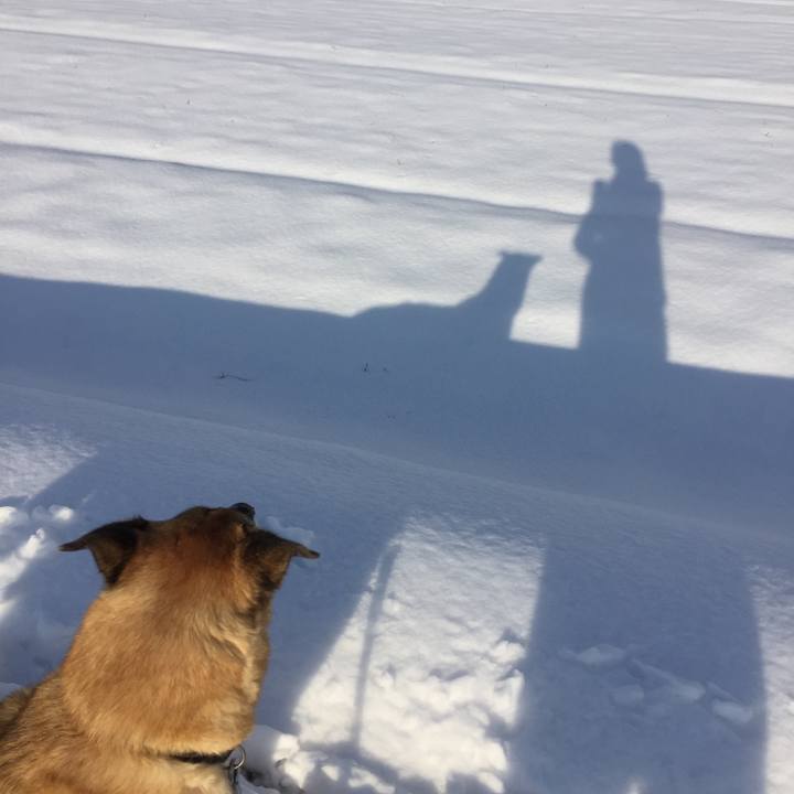 Ba7c8ce4 0f80 40cb ae32 4bf6b289da47 1548583703861