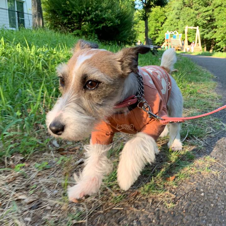 Ba7cab02 37f0 4b3d a9a5 31fdc6b3d1ce 1592393880240