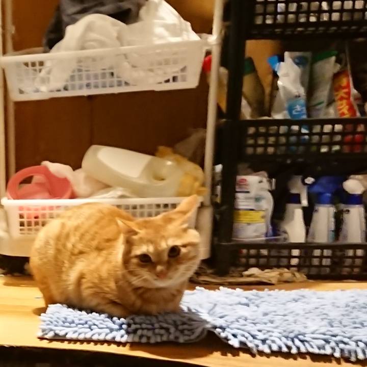 Ba7cb8de 8304 40c2 9e6b 0f79d4ba1716 1638440183580