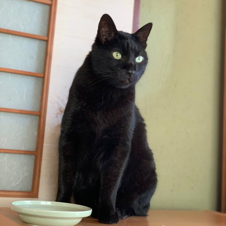 Ba7cbfb1 a5fe 4c31 bada cd9951ff12bd 1580432118021