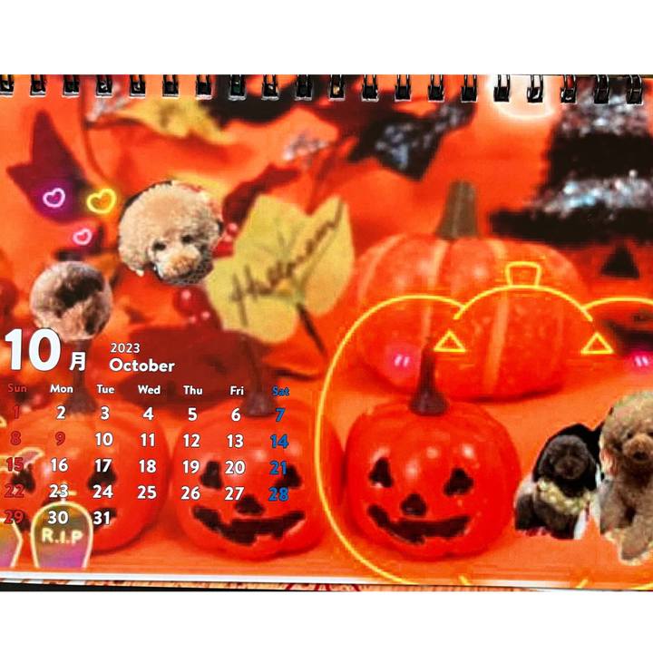 Ba7d1538 0a11 4d18 84ac b88a504e6f79 1696128888872