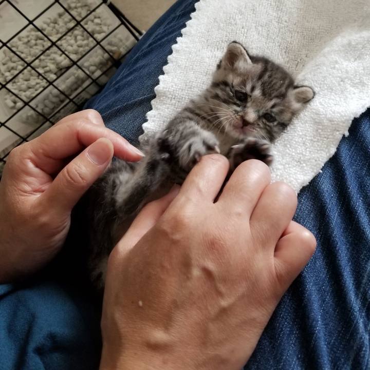 Ba7d1952 3b14 4ac5 9f44 9329d359af81 1659879688766