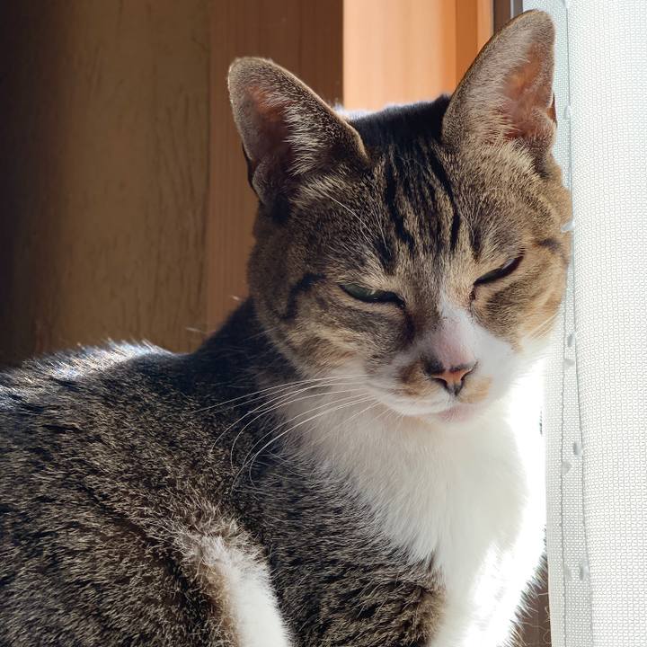 Ba7d2b92 2c6f 4e6c 8604 e7555f093b0c 1579224282911