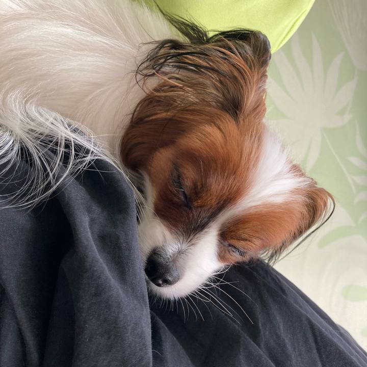 Ba7d34d5 c2a4 4dc1 ba51 153b44ba1c7e 1630623255708