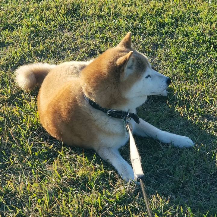 Ba7d42ee 7abf 44f1 b7ed a0e21a0d50b6 1697961429856