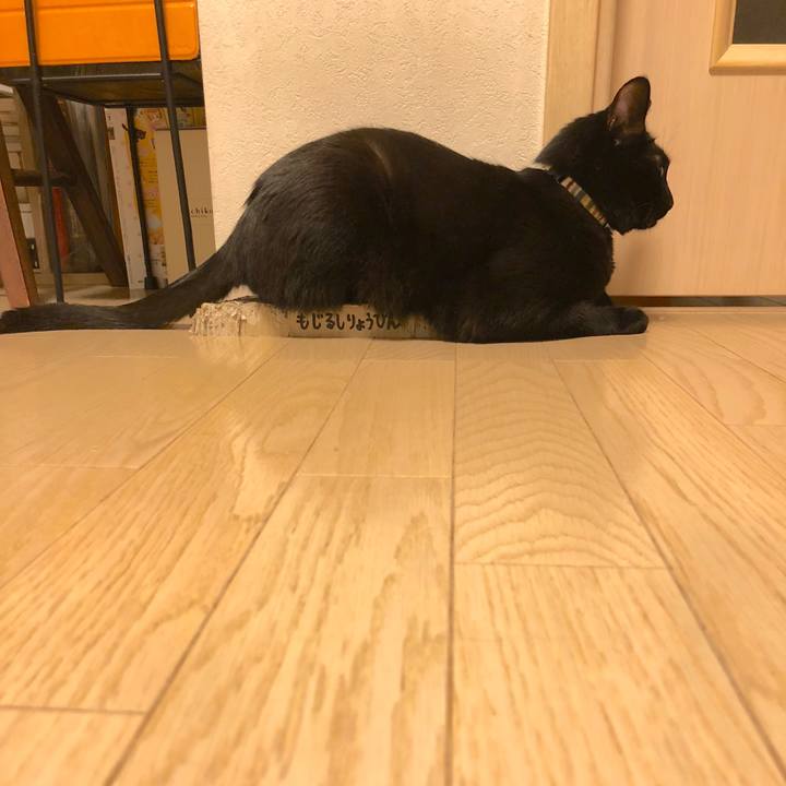 Ba7d561e 44b1 4a87 a7bf 4b43a7e05d61 1525008661630