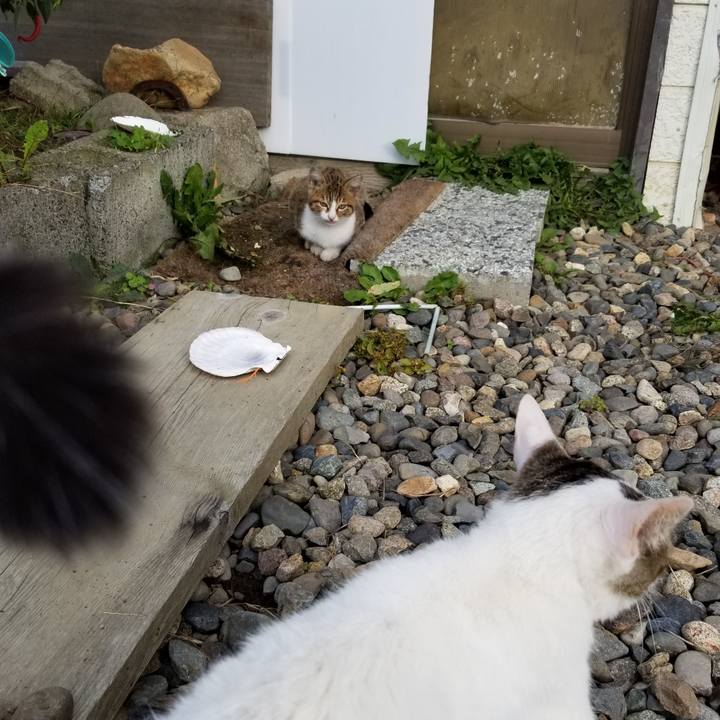 Ba7d9ffc 2aa3 41c9 94fa ec09d2abe5b3 1602144220745