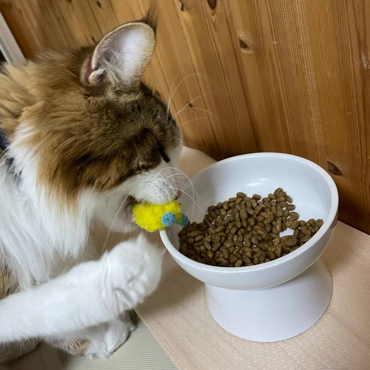 Ba7dc562 6af9 4b17 a9eb 931c2f592c76 1663147600817