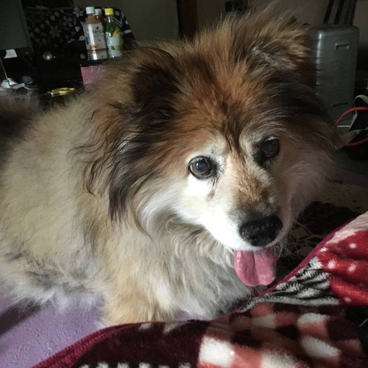 Ba7dd7ee f4ea 41f2 8728 5938ae665e31 1590316645713