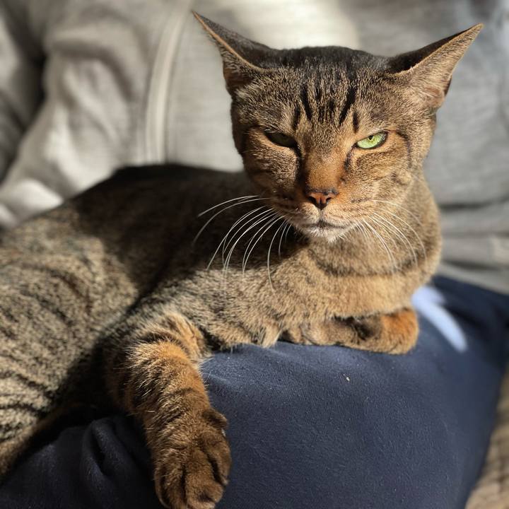 Ba7e3d7b 2fb0 49fe 8edd 99de1f2e8d22 1608599932328