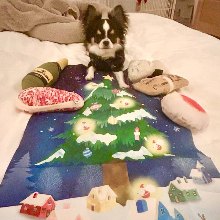 Ba7e5261 8410 4b42 a3f4 5d45585f85f3 1764891592020