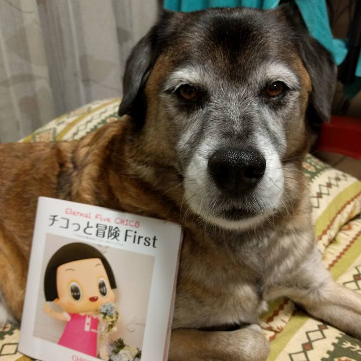 Ba7e58cf d019 4df9 a58a 117a749dc005 1545215106603