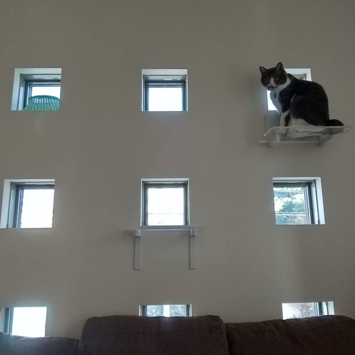 Ba7e6f6a 41c4 4b76 80a0 f7ef360a4ff6 1633328970144