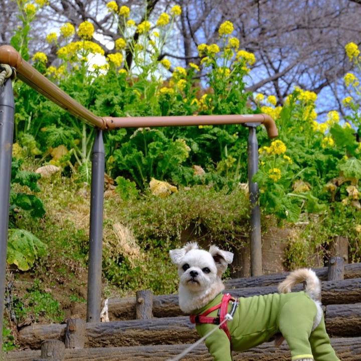 Ba7eb95e 6aec 4b7b 8acc 3d1d846a8608 1642503528189