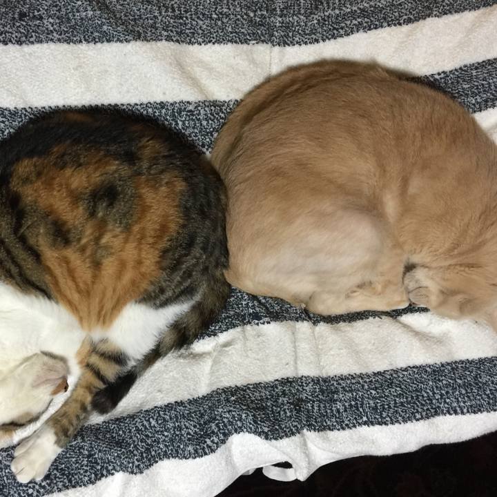 Ba7eceee a4e0 47e2 8a51 51ec11e4d845 1663849458968