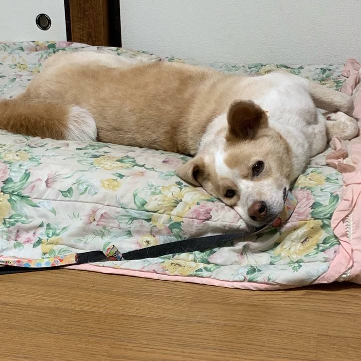 Ba7f3be3 2ef7 436a b59f 4f6fb62ad3ec 1563178035462