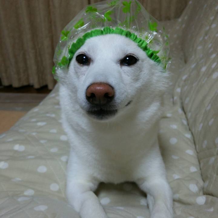 Ba7f58a3 6464 4857 95d5 4c45b71783b0 1558092143024