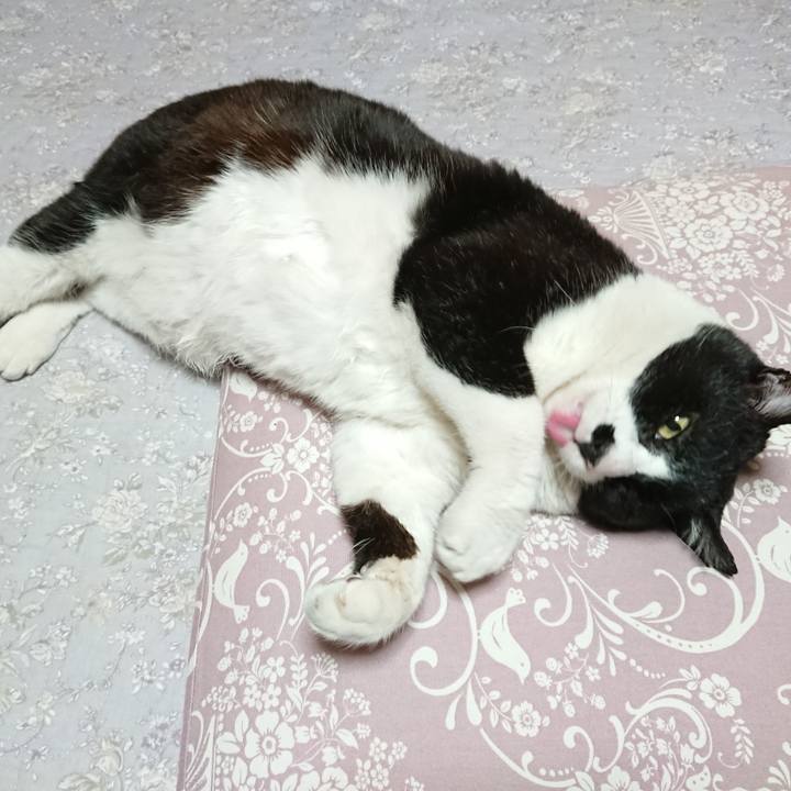 Ba7f6252 02fe 4a15 8ea2 6df95f624820 1587890982940