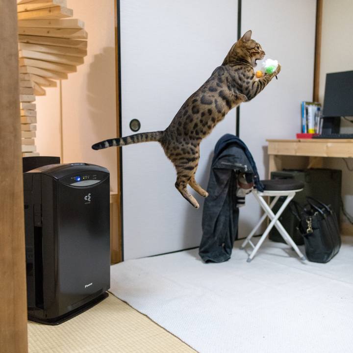 Ba7f6338 c94f 4390 bb83 66d2bd649fe1 1521207185464