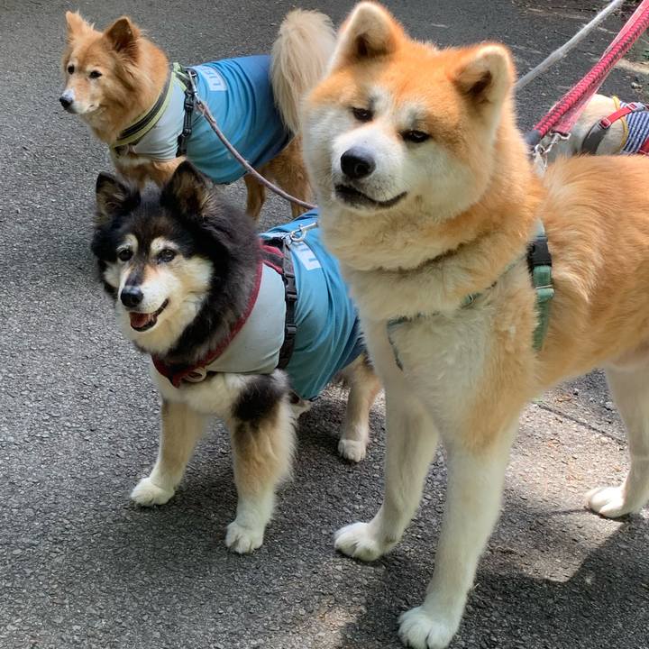 Ba7f686d 7e97 43d8 9d75 81aa2dfd137d 1718424608620