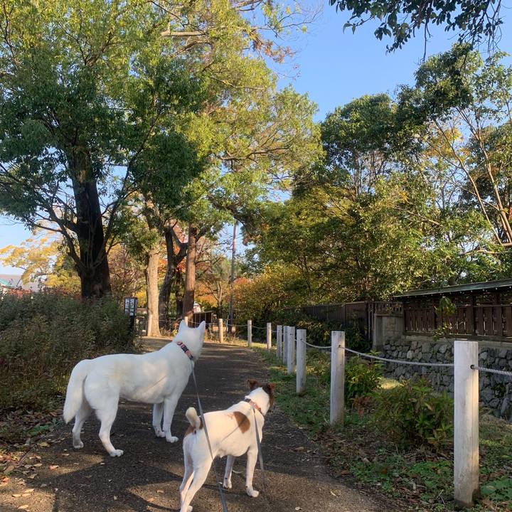 Ba7f7276 8476 4543 b020 c84a2622a221 1541902047366