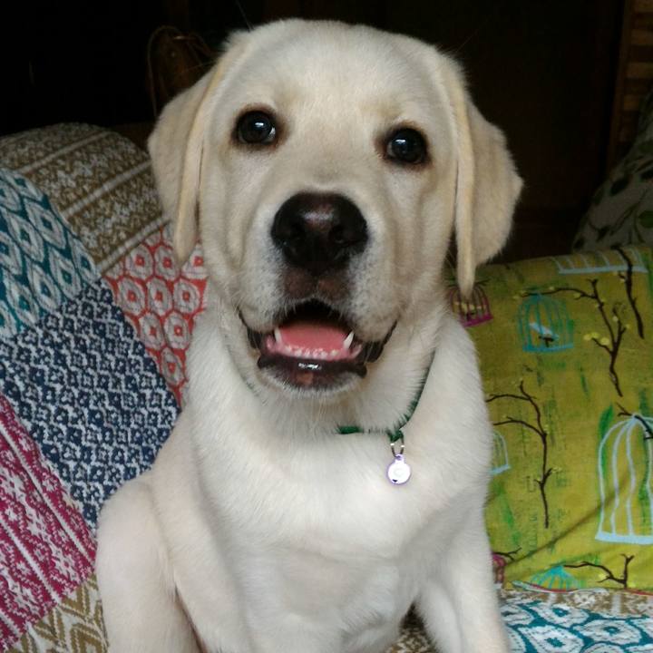 Ba7f734c 39f8 400b 94a1 b5e9e063eaa6 1518269377402