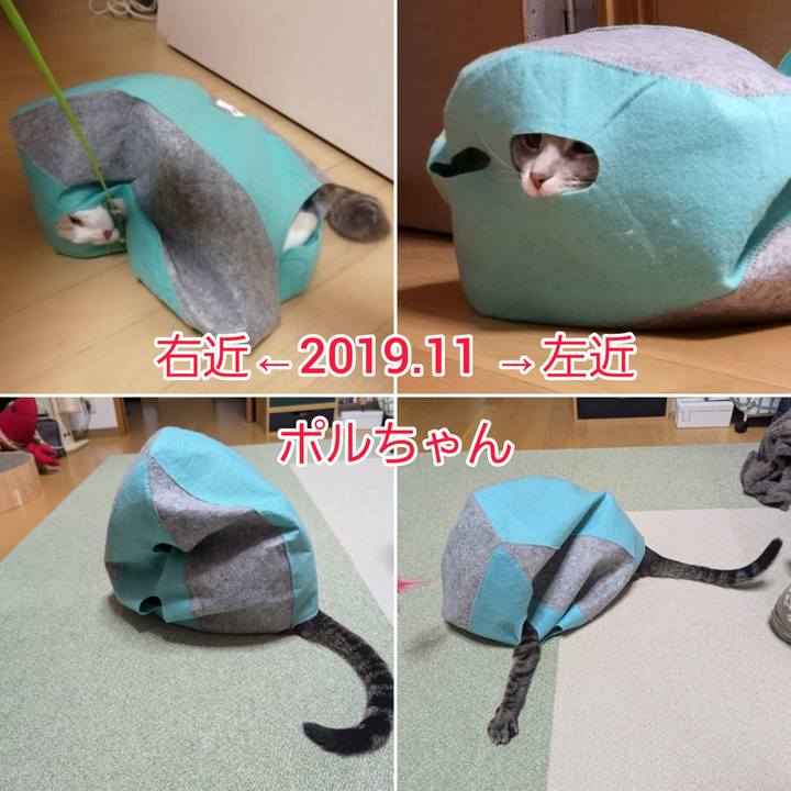 Ba7f7707 b26c 47c5 87c2 b79113e037f7 1733984914972