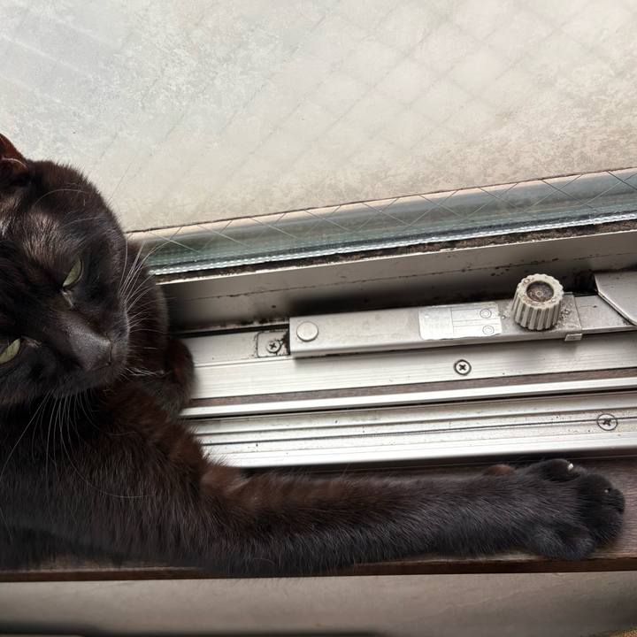 Ba7faf90 eee1 494d bd8b 15af850c386f 1760794429213