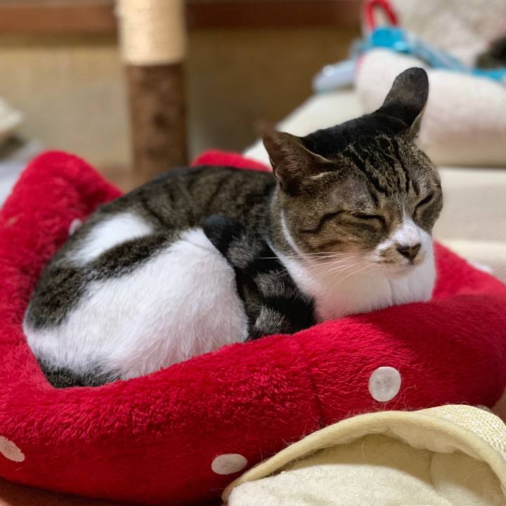 Ba7fc077 e566 4bb9 8355 b3a0178a40f5 1538790249818