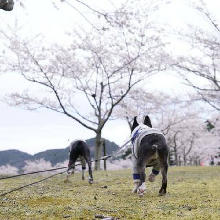 Ba7fc081 dd2b 4460 b90a 58f7c1fd2df9 1555069958612