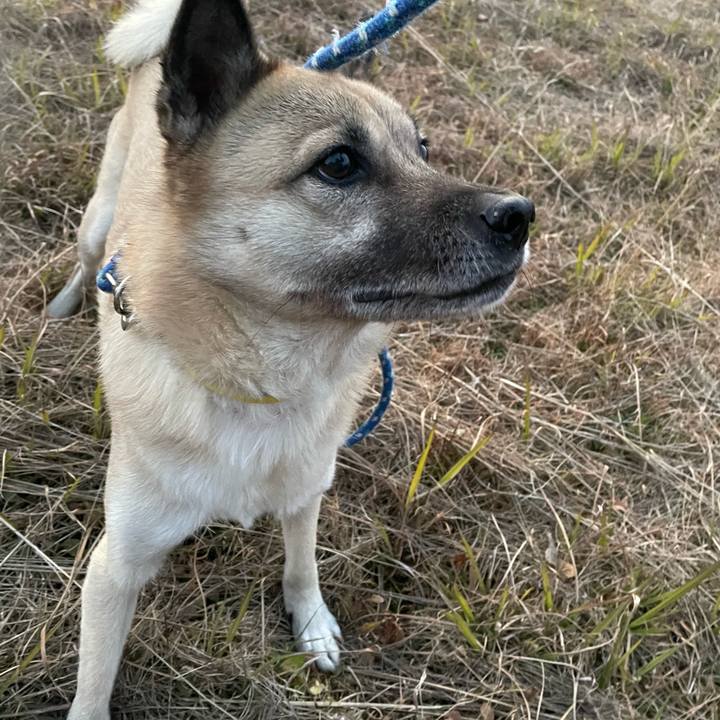 Ba7fd715 20c0 4605 b174 b759e2a8b047 1642068280829