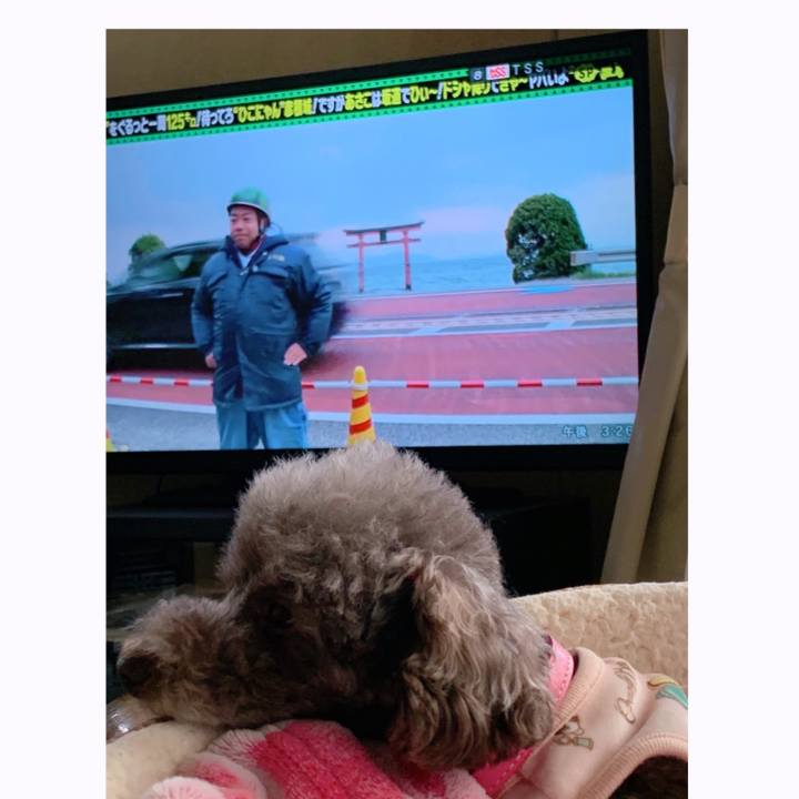 Ba7fd7db d39b 4977 996a dabf41d34991 1615012268742