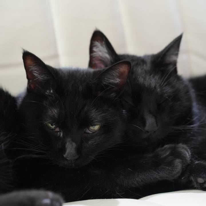 Ba7fe9cc 1d3f 485e a4f9 e1163a4af610 1628255140581