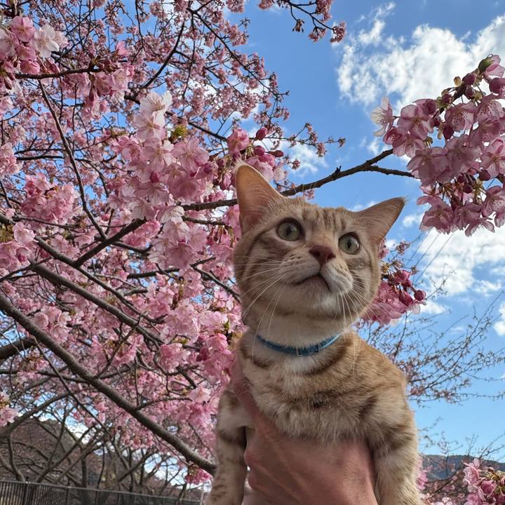 Ba7ff6a0 f19b 41ad ba43 5a44cf353b71 1740470821791