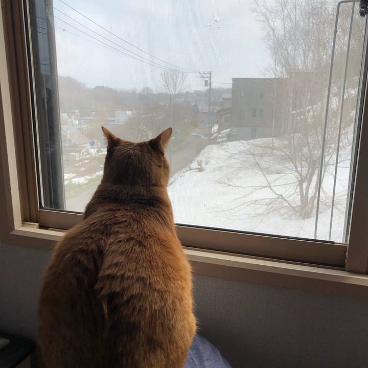 Ba800f9c bfeb 4938 89a9 e207ade0a8f4 1649553966863