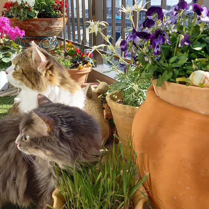 Ba802e36 a3d1 4508 8efd b606af099f3c 1607606646172