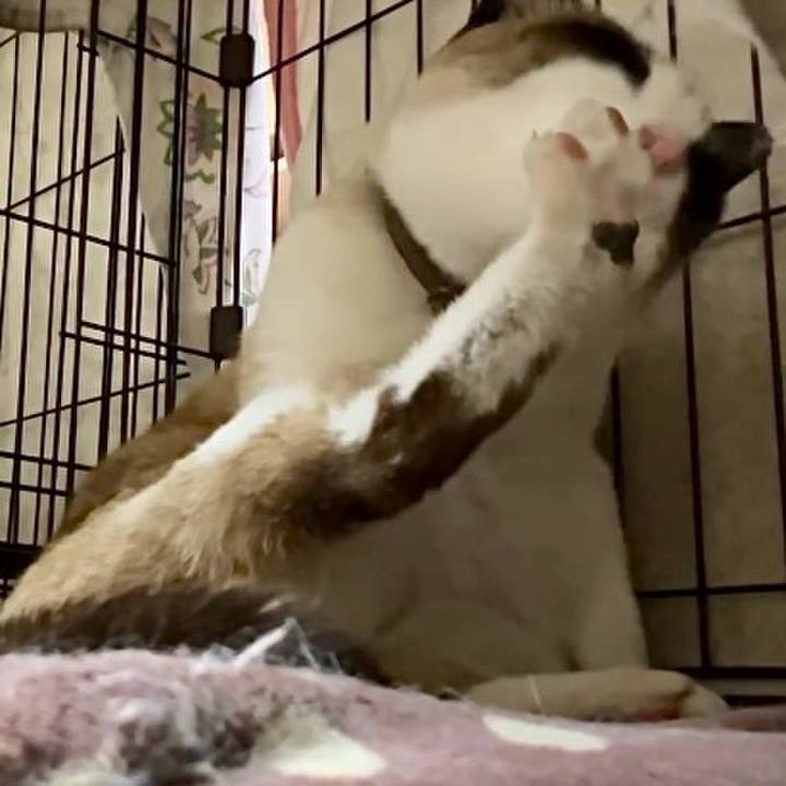 Ba80646f db93 4d3f a2d2 f7aedb5d7e8c 1742471506036